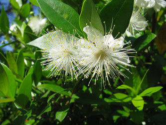 Similar image 176876