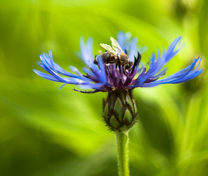 Similar image 176954