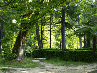 Similar image 176957