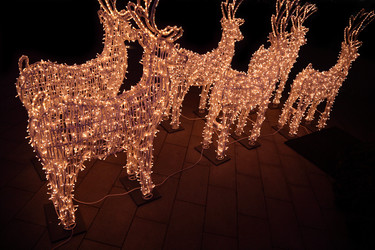 Similar image 176963