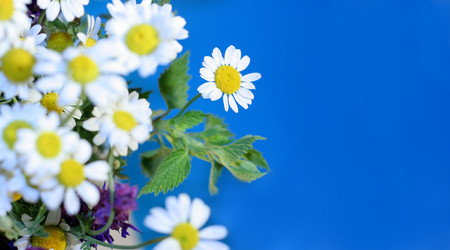 Similar image 176966