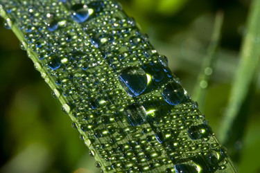 Similar image 176969