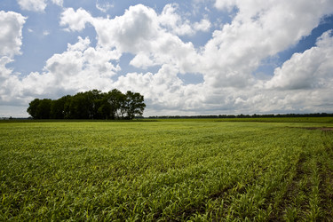 Similar image 177005