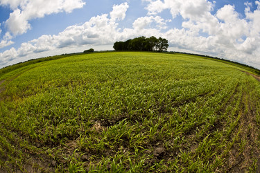 Similar image 177007