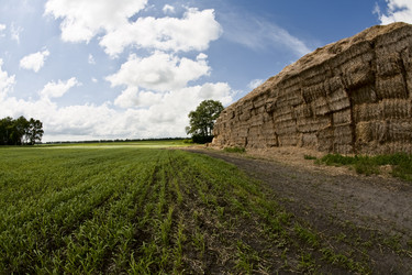 Similar image 177011