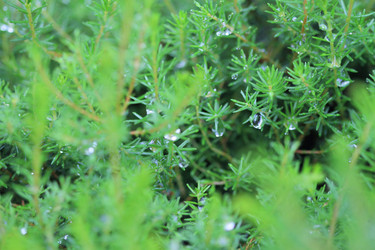 Similar image 177022