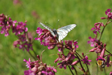 Similar image 177033