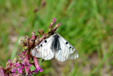 Similar image 177035