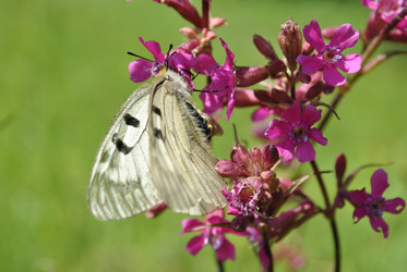 Similar image 177036