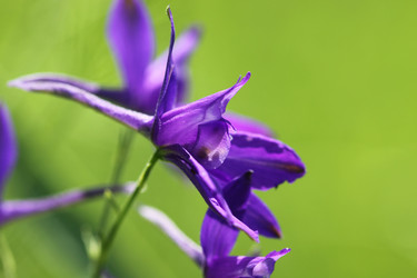 Similar image 177041