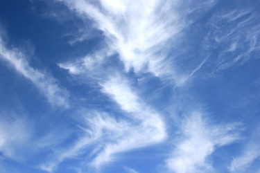 Similar image 177060