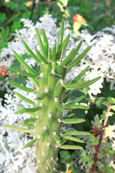 Similar image 177062