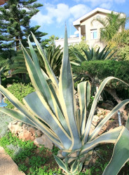 Similar image 177063