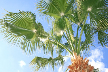 Similar image 177064