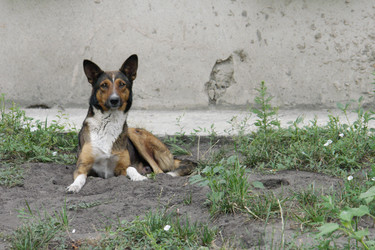 Similar image 177103