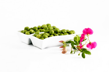 Similar image 177105