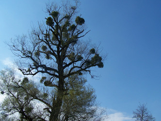 Similar image 177120