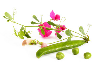 Similar image 177124