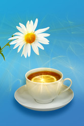 Similar image 177135