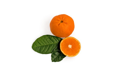 Similar image 177166