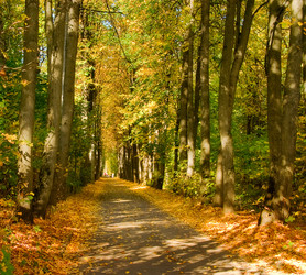 Similar image 177186