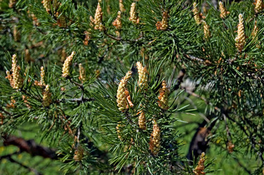 Similar image 177188