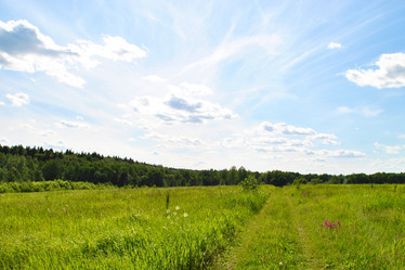 Similar image 177251