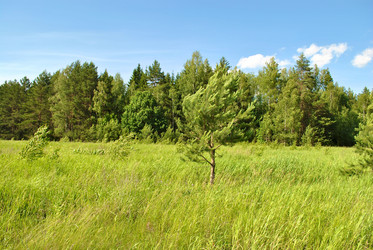 Similar image 177254