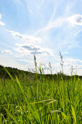 Similar image 177258