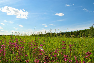 Similar image 177280