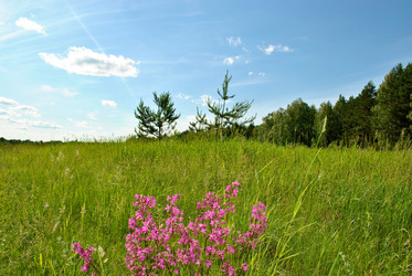 Similar image 177281