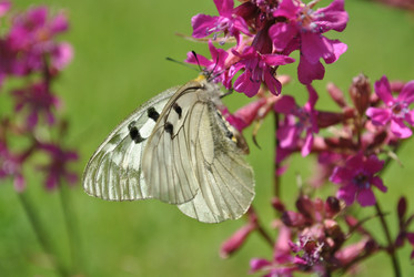 Similar image 177284