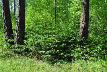 Similar image 177295