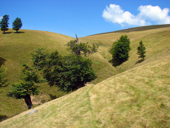 Similar image 177297