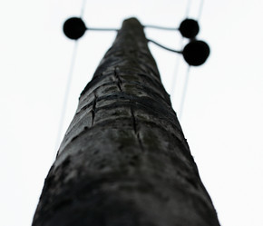 Similar image 177308