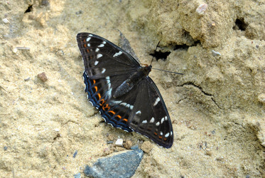 Similar image 177309