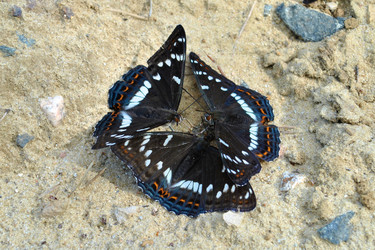 Similar image 177310