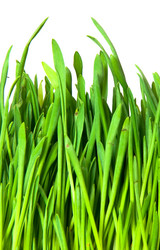 Similar image 177330