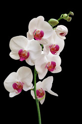 Similar image 177398