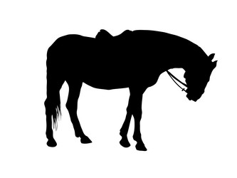 Similar image 177407