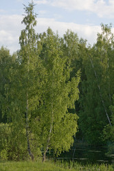 Similar image 177454