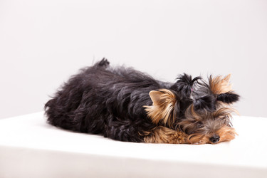 Similar image 177463