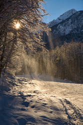 Similar image 177472