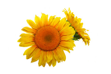 Similar image 177478