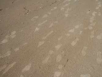 Similar image 177495