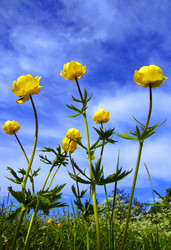 Similar image 177533