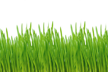 Similar image 177534