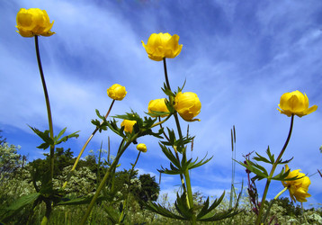 Similar image 177535