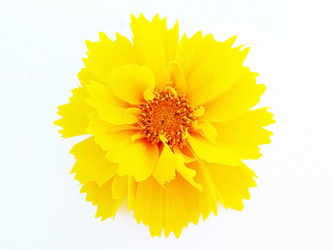 Similar image 177536