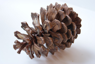 Similar image 177635